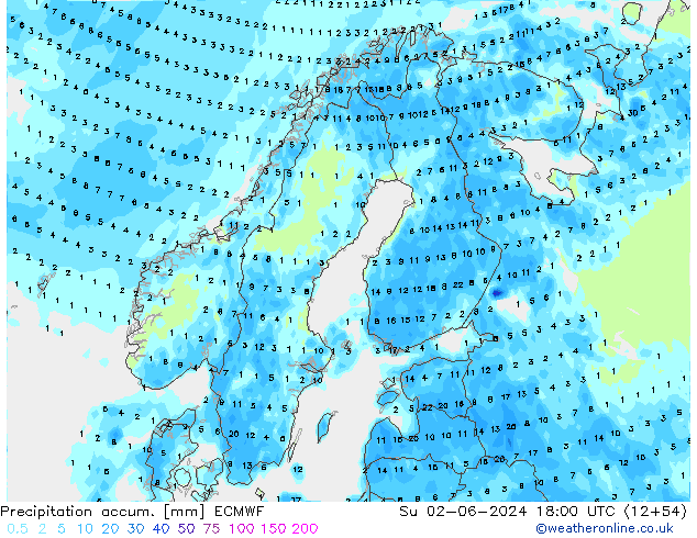 Precipitación acum. ECMWF dom 02.06.2024 18 UTC