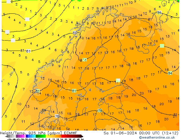 Height/Temp. 925 hPa ECMWF Sa 01.06.2024 00 UTC