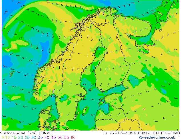 wiatr 10 m ECMWF pt. 07.06.2024 00 UTC