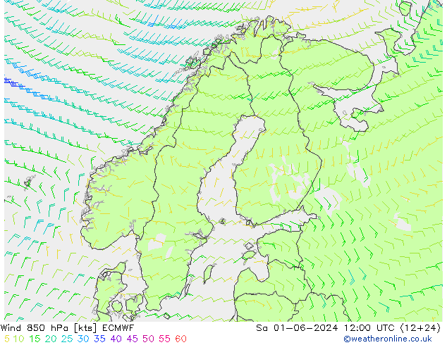 Vent 850 hPa ECMWF sam 01.06.2024 12 UTC