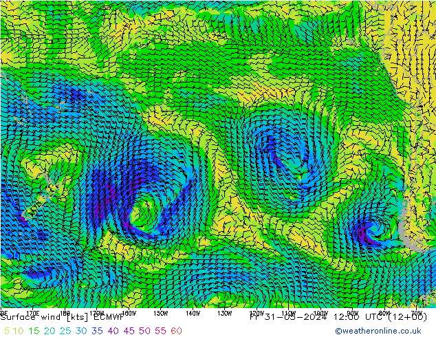 Surface wind ECMWF Fr 31.05.2024 12 UTC