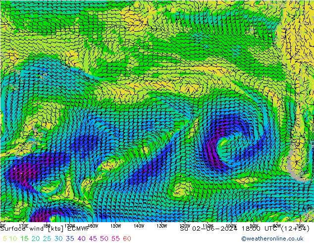 Surface wind ECMWF Su 02.06.2024 18 UTC