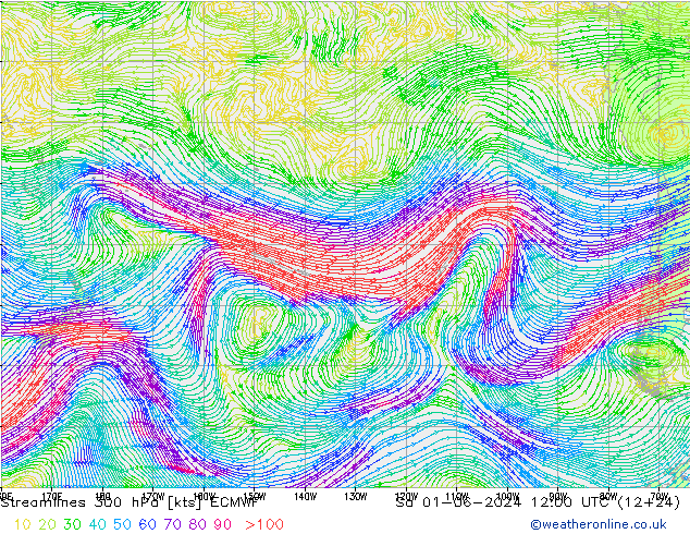 Stroomlijn 300 hPa ECMWF za 01.06.2024 12 UTC