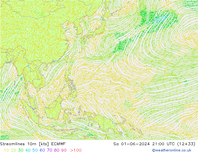 Stromlinien 10m ECMWF Sa 01.06.2024 21 UTC