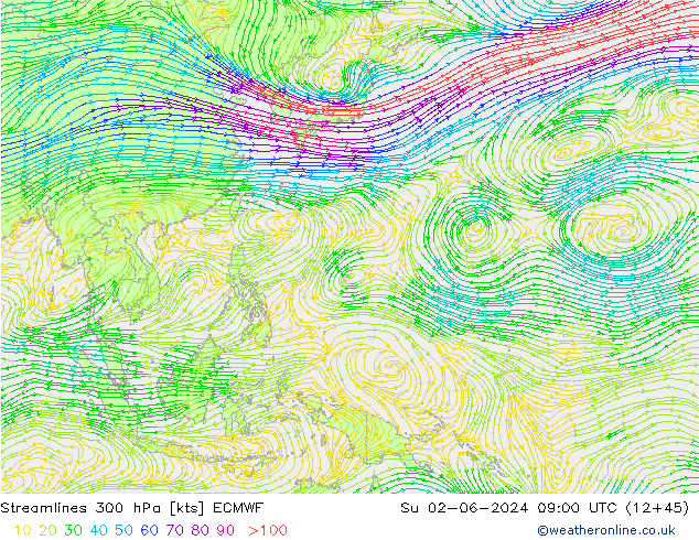 Streamlines 300 hPa ECMWF Su 02.06.2024 09 UTC