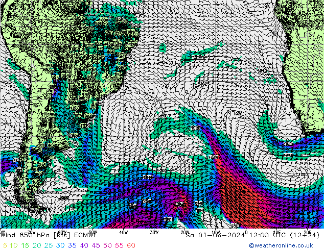 Wind 850 hPa ECMWF Sa 01.06.2024 12 UTC