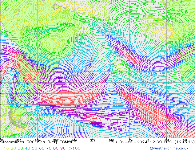 Linea di flusso 300 hPa ECMWF dom 09.06.2024 12 UTC