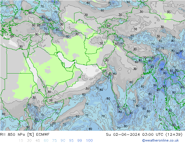 RH 850 гПа ECMWF Вс 02.06.2024 03 UTC