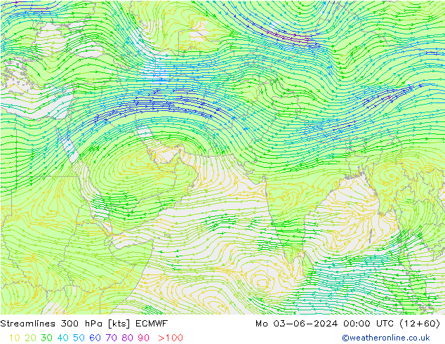ветер 300 гПа ECMWF пн 03.06.2024 00 UTC
