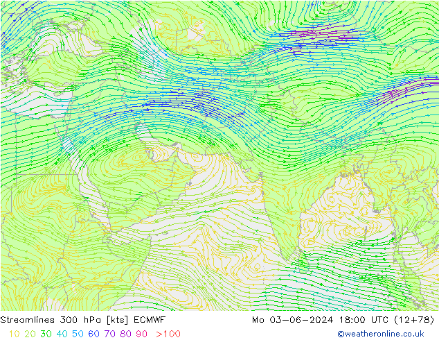 Streamlines 300 hPa ECMWF Mo 03.06.2024 18 UTC