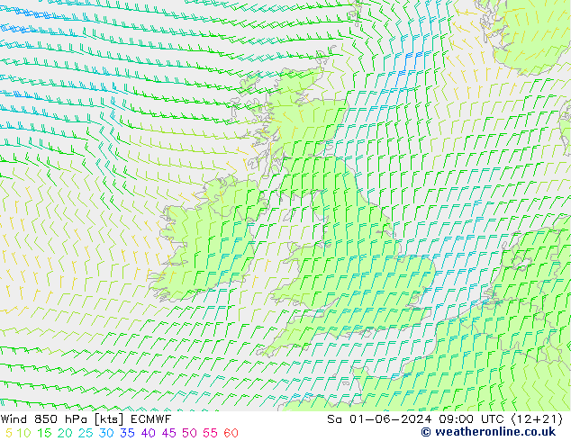 Wind 850 hPa ECMWF Sa 01.06.2024 09 UTC