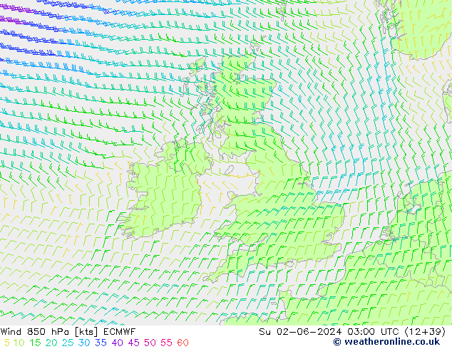 ветер 850 гПа ECMWF Вс 02.06.2024 03 UTC