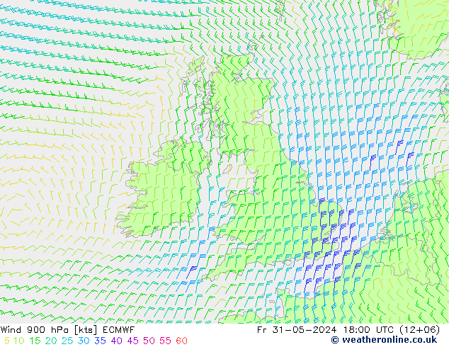 Vento 900 hPa ECMWF ven 31.05.2024 18 UTC