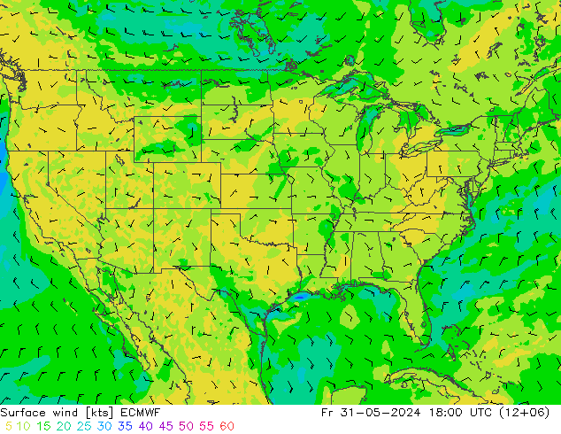  10 m ECMWF  31.05.2024 18 UTC