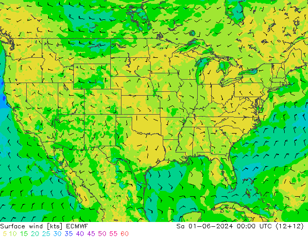 Surface wind ECMWF So 01.06.2024 00 UTC