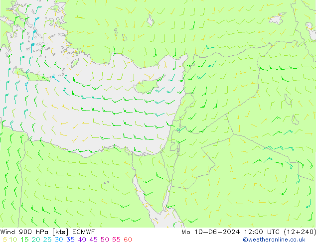 ветер 900 гПа ECMWF пн 10.06.2024 12 UTC