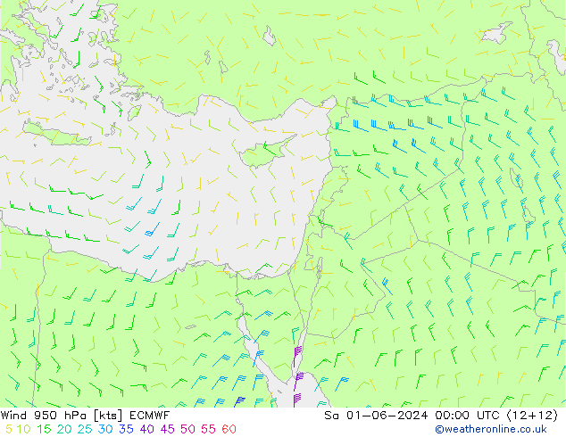 Rüzgar 950 hPa ECMWF Cts 01.06.2024 00 UTC