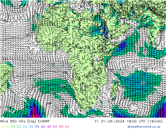 Wind 950 hPa ECMWF Fr 31.05.2024 18 UTC