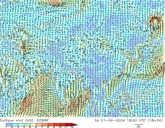 Wind 10 m (bft) ECMWF za 01.06.2024 18 UTC