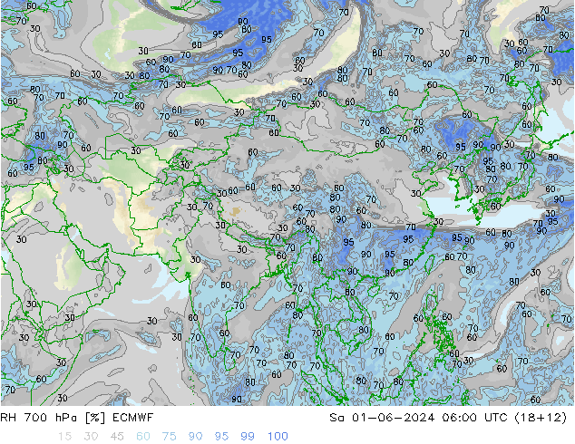 RH 700 hPa ECMWF Sa 01.06.2024 06 UTC