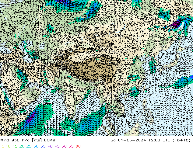 Rüzgar 950 hPa ECMWF Cts 01.06.2024 12 UTC