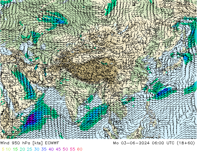 wiatr 950 hPa ECMWF pon. 03.06.2024 06 UTC