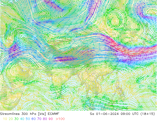 Rüzgar 300 hPa ECMWF Cts 01.06.2024 09 UTC