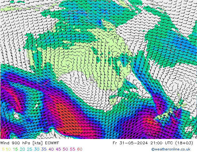  900 hPa ECMWF  31.05.2024 21 UTC