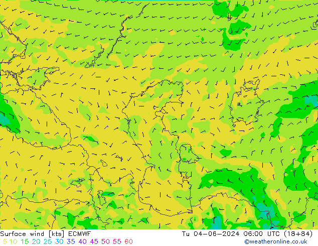 ветер 10 m ECMWF вт 04.06.2024 06 UTC