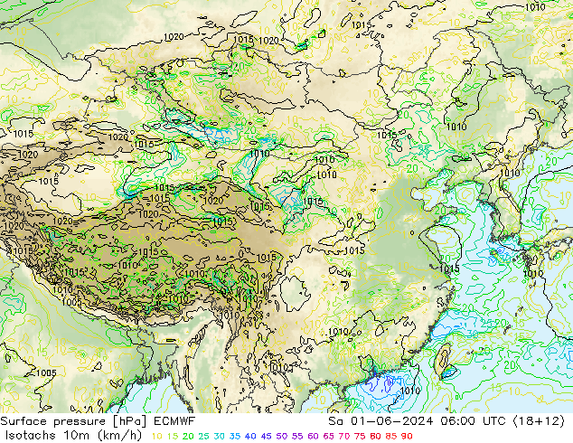 10米等风速线 (kph) ECMWF 星期六 01.06.2024 06 UTC