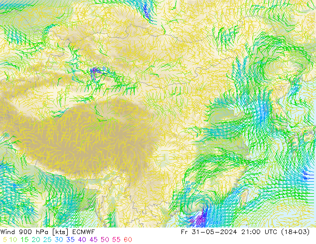 Vento 900 hPa ECMWF Sex 31.05.2024 21 UTC