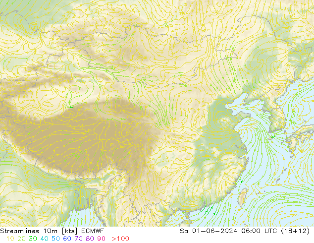 Línea de corriente 10m ECMWF sáb 01.06.2024 06 UTC