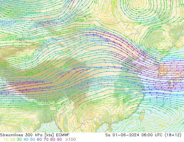 风 300 hPa ECMWF 星期六 01.06.2024 06 UTC