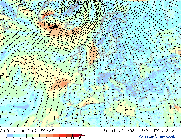 Wind 10 m (bft) ECMWF za 01.06.2024 18 UTC