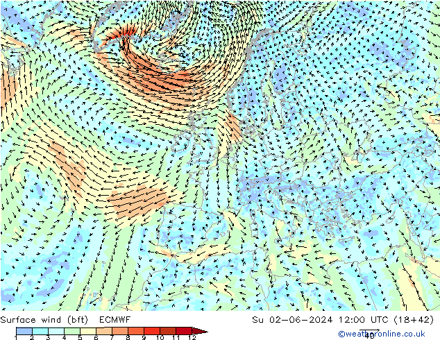 Surface wind (bft) ECMWF Su 02.06.2024 12 UTC