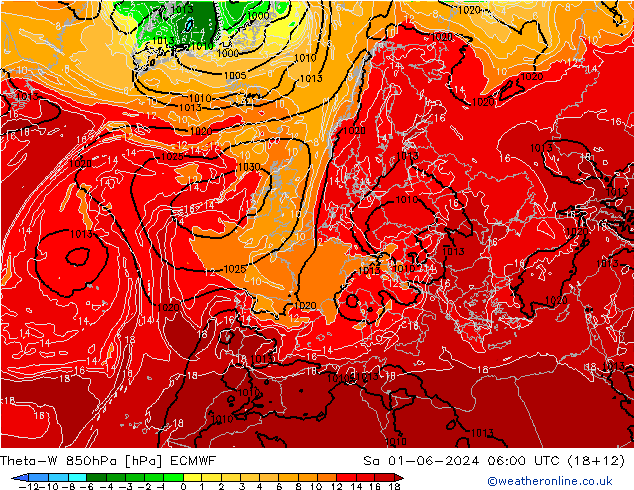 Theta-W 850hPa ECMWF za 01.06.2024 06 UTC