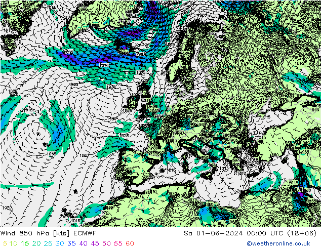 ветер 850 гПа ECMWF сб 01.06.2024 00 UTC