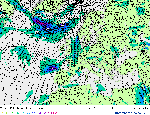 Wind 950 hPa ECMWF za 01.06.2024 18 UTC