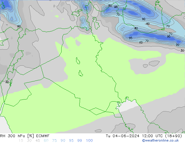 Humidité rel. 300 hPa ECMWF mar 04.06.2024 12 UTC