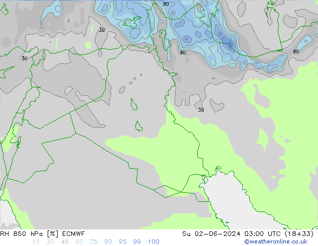 RH 850 hPa ECMWF Dom 02.06.2024 03 UTC