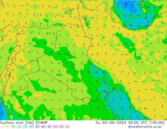 ветер 10 m ECMWF Вс 02.06.2024 00 UTC