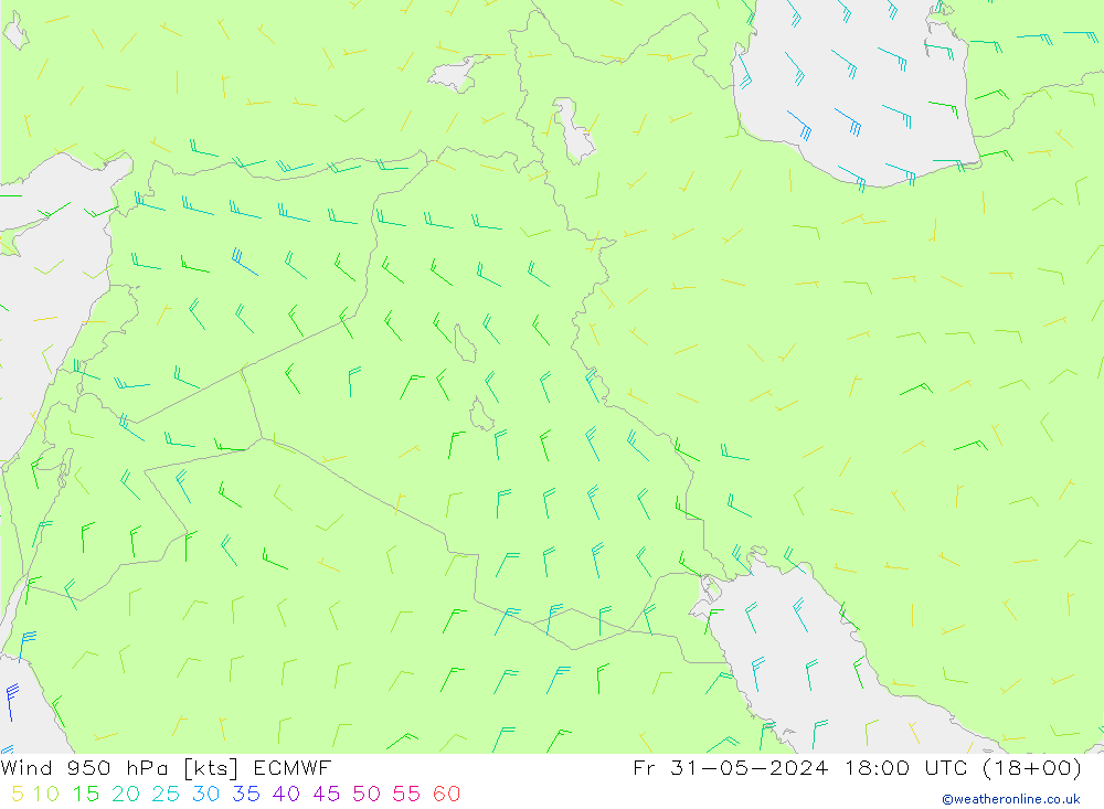 Wind 950 hPa ECMWF Fr 31.05.2024 18 UTC