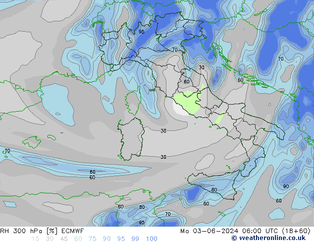 RH 300 гПа ECMWF пн 03.06.2024 06 UTC