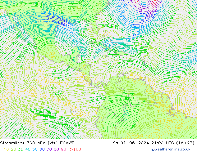Rüzgar 300 hPa ECMWF Cts 01.06.2024 21 UTC