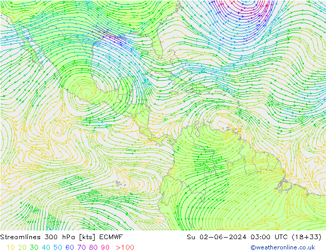  300 hPa ECMWF  02.06.2024 03 UTC