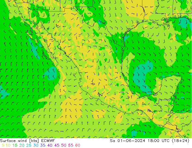 Viento 10 m ECMWF sáb 01.06.2024 18 UTC