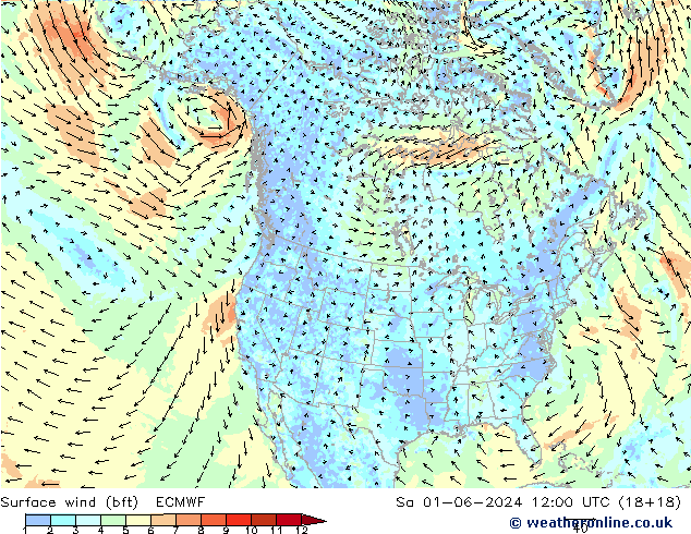 Vento 10 m (bft) ECMWF Sáb 01.06.2024 12 UTC