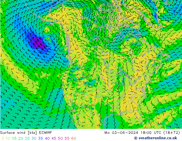 Rüzgar 10 m ECMWF Pzt 03.06.2024 18 UTC