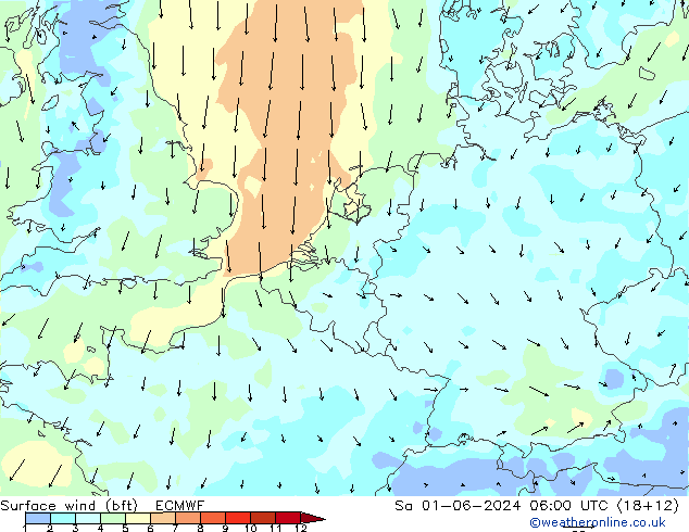 wiatr 10 m (bft) ECMWF so. 01.06.2024 06 UTC