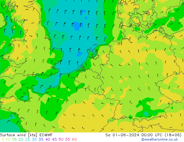 Surface wind ECMWF So 01.06.2024 00 UTC